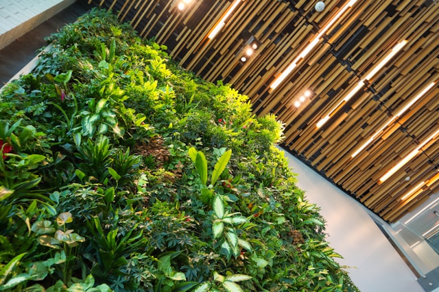 The Real Reason Artificial Wall Plants Are Appearing in Every Perth Home and Office Right Now